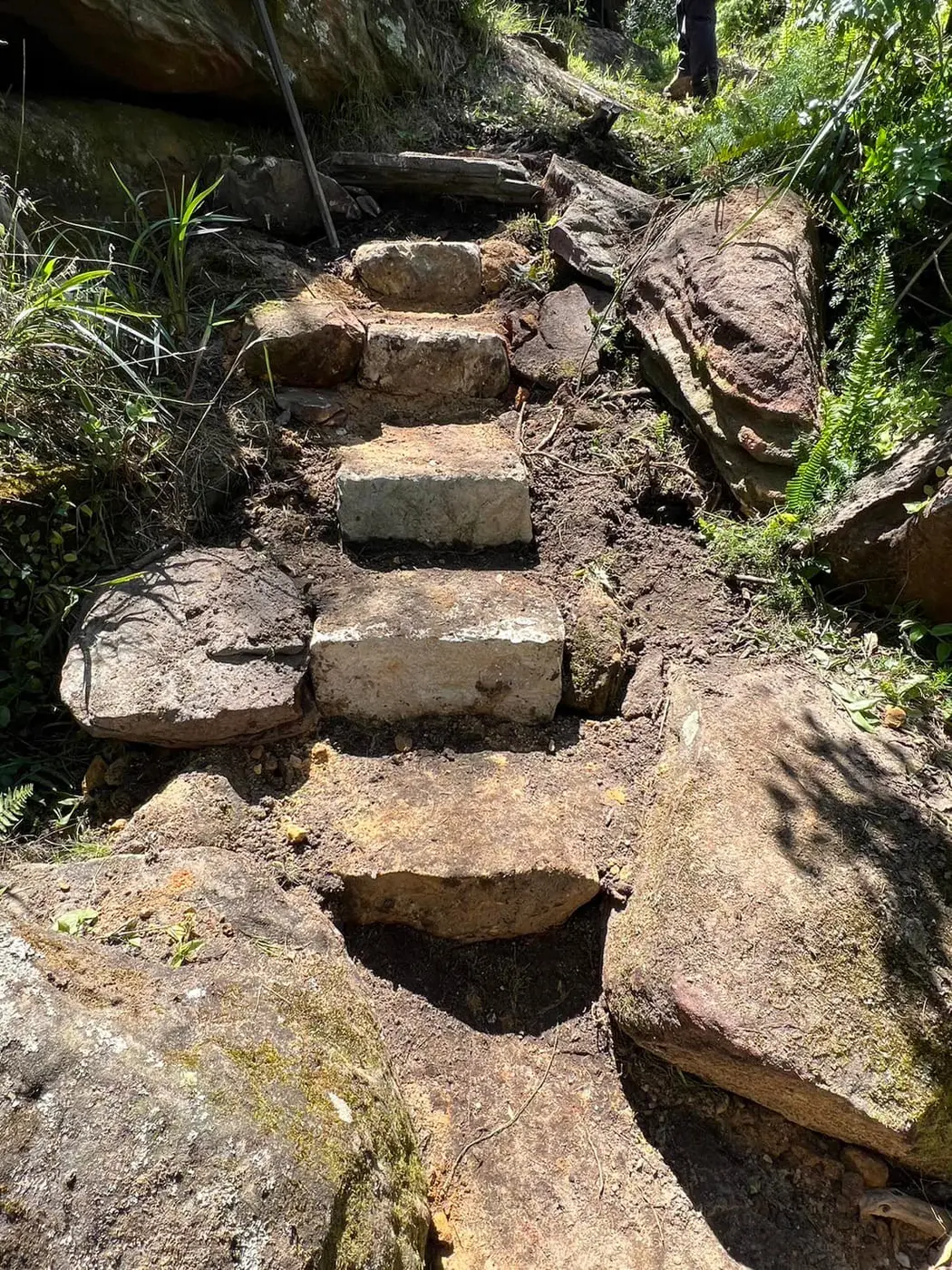 Completed natural stone staircase integrated between bush rocks