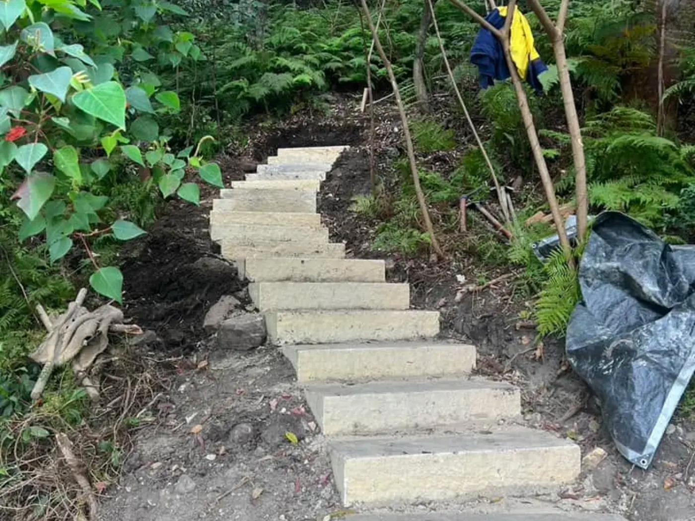 New bushland steps following a steep landscape